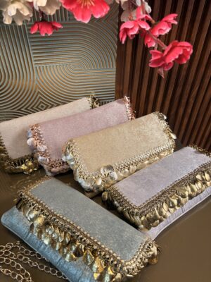 Zara Coin Clutch
